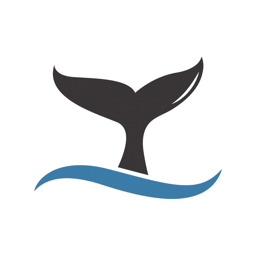 Dive Denizli uygulama logosu